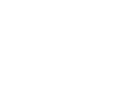 Otica Pontual-Logo